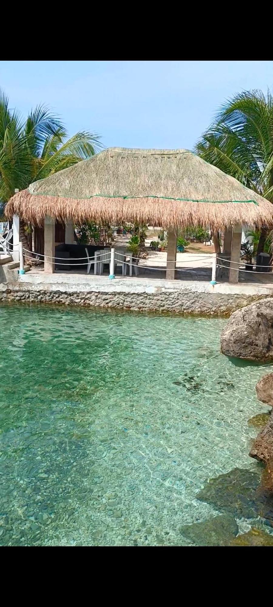 Seascape Beach Resort Oslob Dış mekan fotoğraf